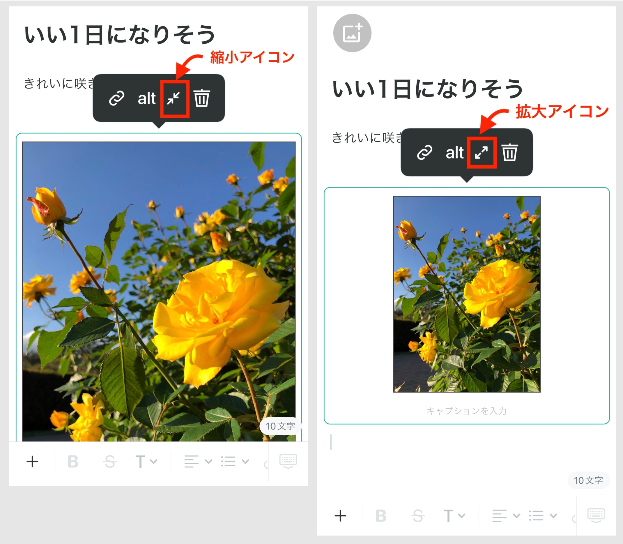____________-_Copy_of___________23_.jpg