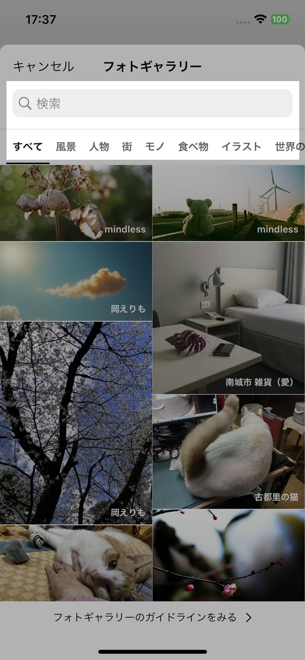 IMG_0079.png