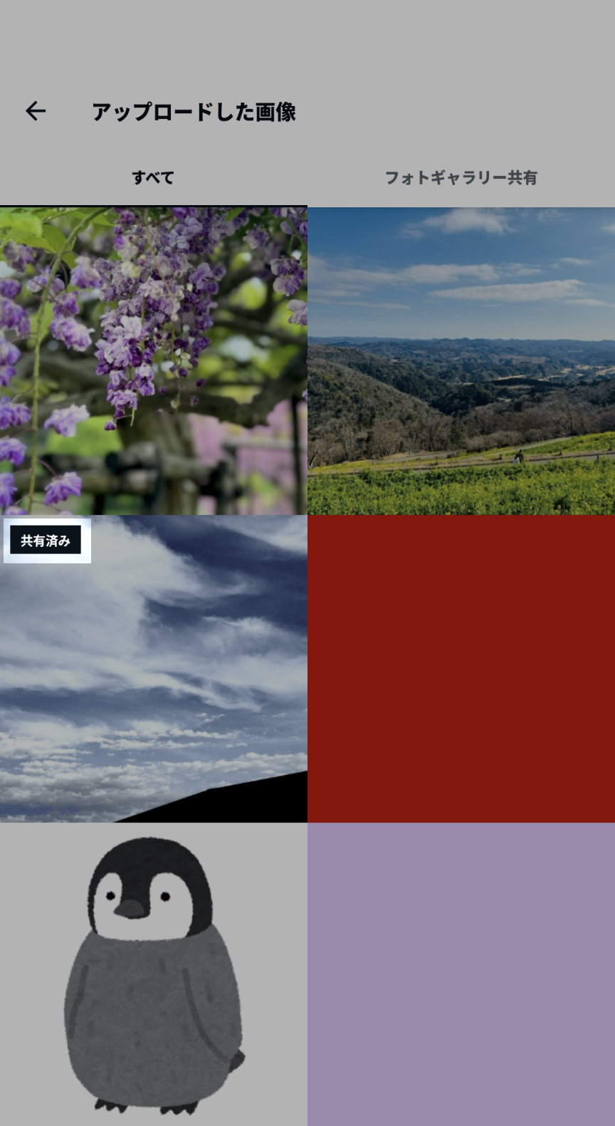 Screenshot_20250410-103148~2.png